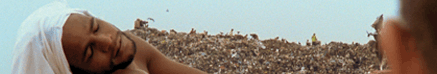 waste land